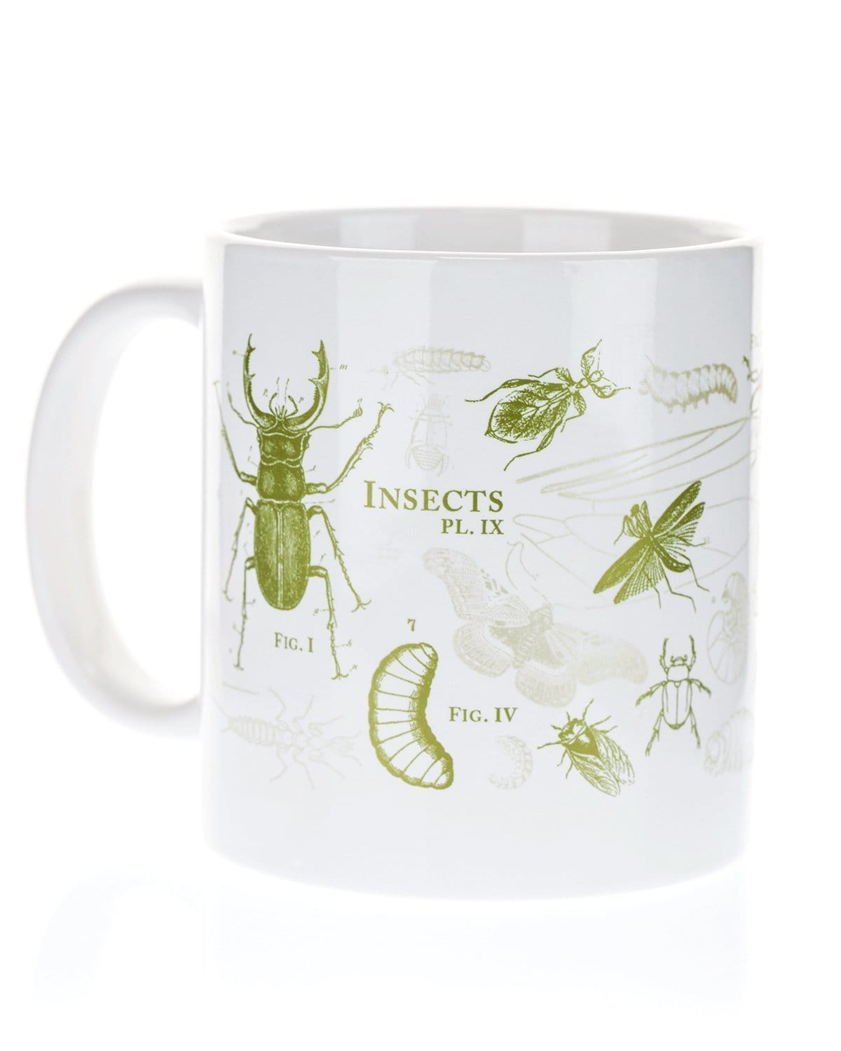 Insect Mug 20 Oz Science Mug, Professor Gift, Entomology Mug, Phd Mug 