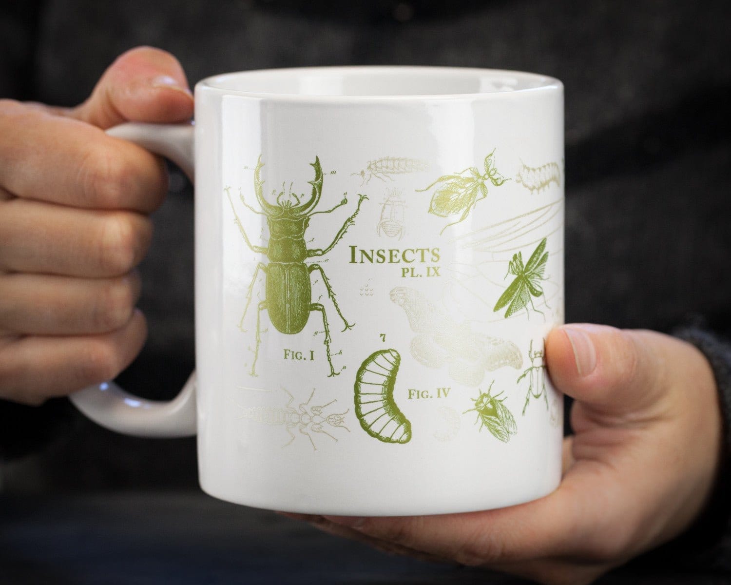 Normale Mug Insect Insect Mug 20 oz | Science Mug – Cognitive Surplus