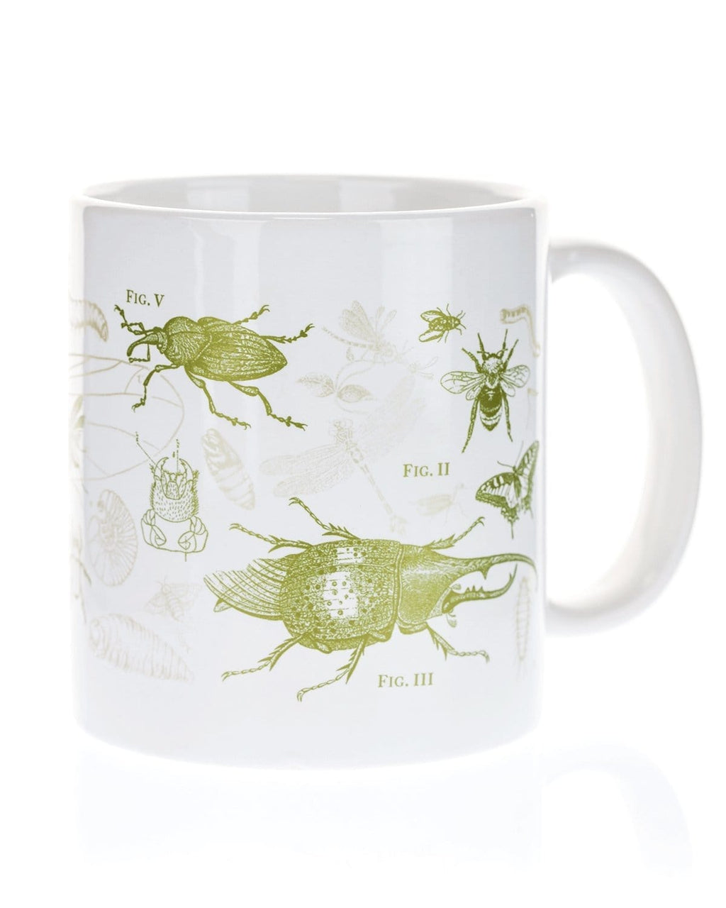 Normale Mug Insect Insect Mug 20 oz | Science Mug – Cognitive Surplus