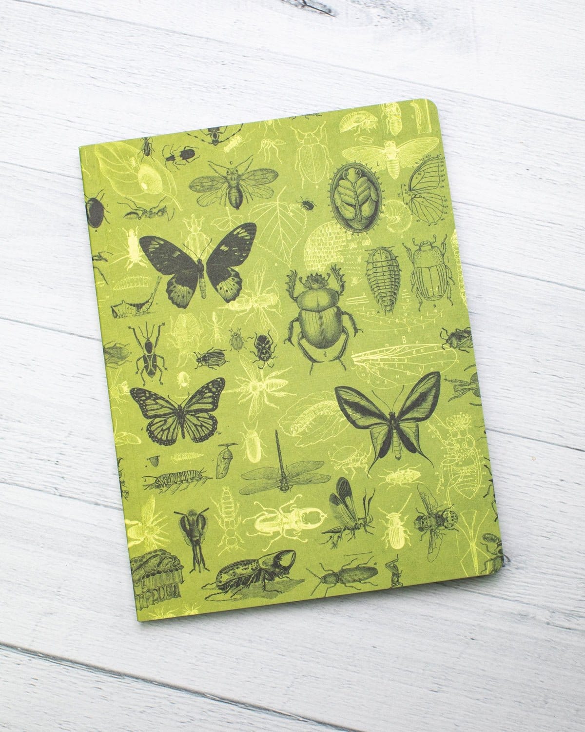 Insect Notebook Insect Softcover Notebook | Butterfly Garden Journal – Cognitive Surplus