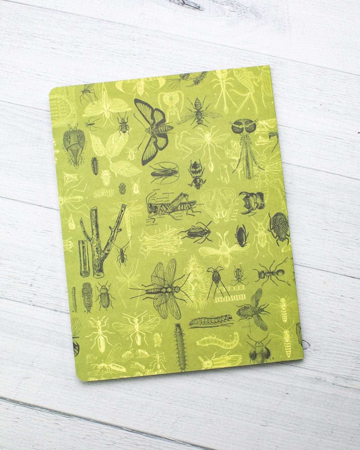 Insect Notebook Insect Softcover Notebook | Butterfly Garden Journal – Cognitive Surplus
