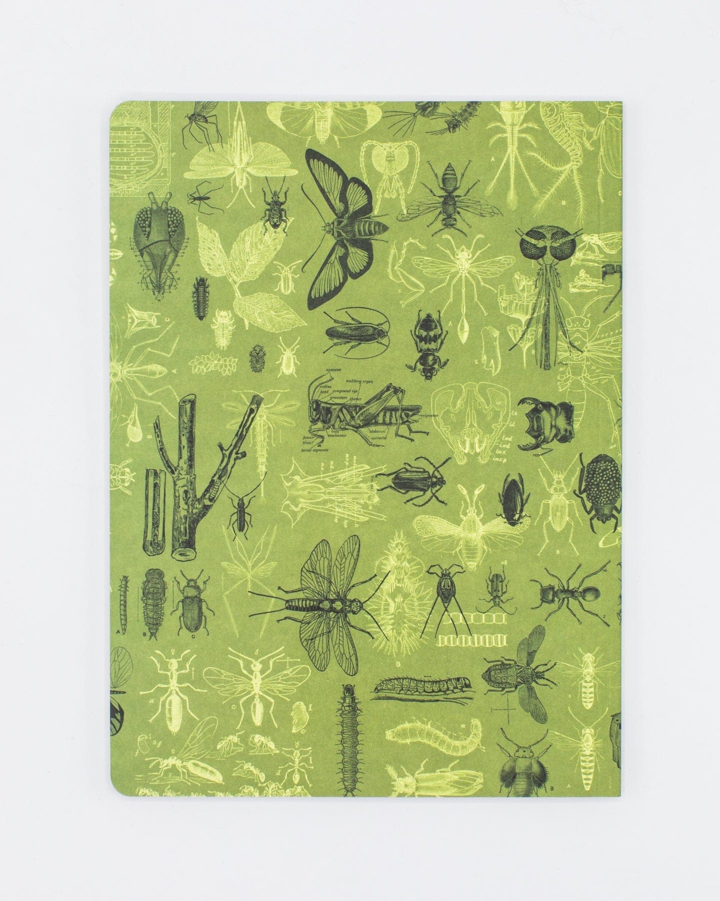 Insect Notebook Insect Softcover Notebook | Butterfly Garden Journal – Cognitive Surplus