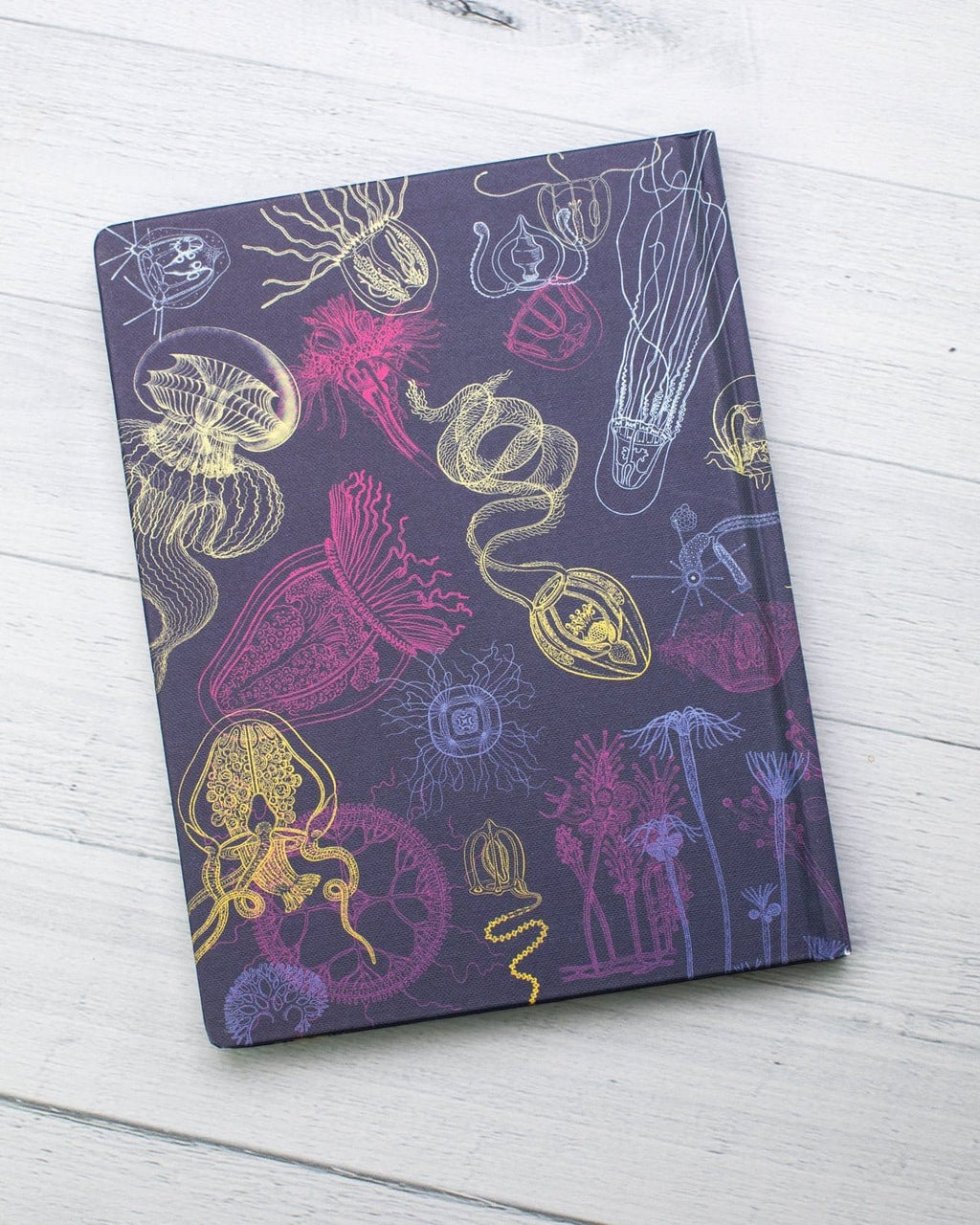 Jellyfish Hardcover Notebook | Dot Grid Journal – Cognitive Surplus