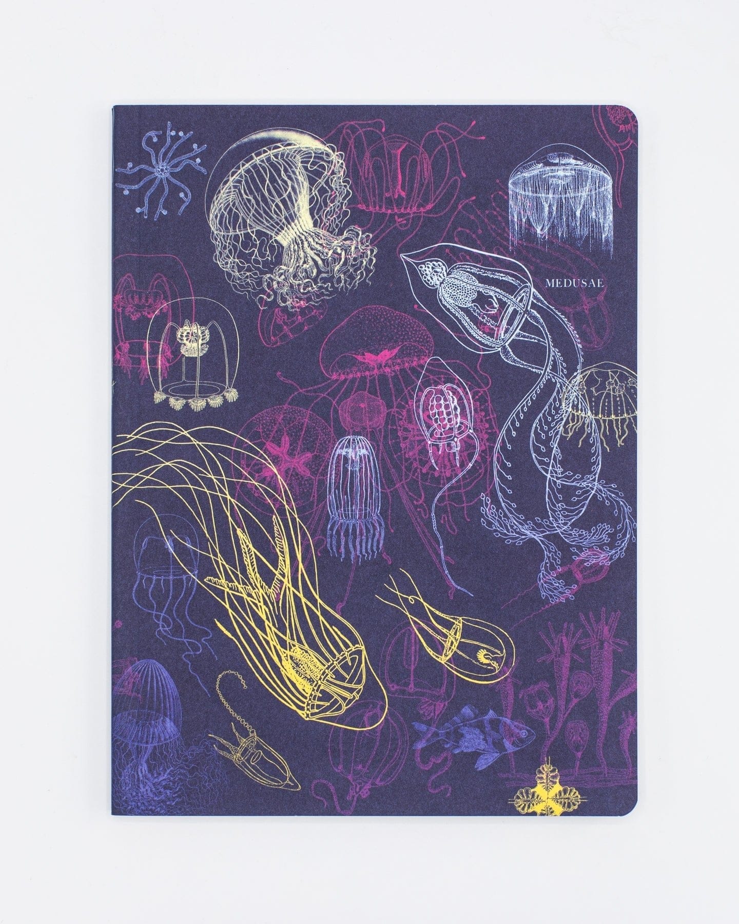 Jellyfish Softcover - Lined Cognitive Surplus