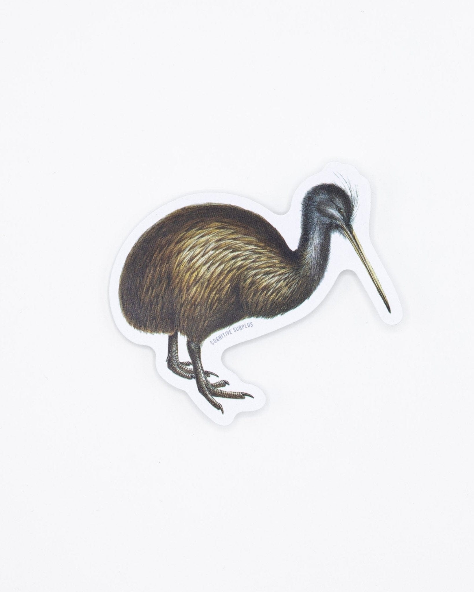 Kiwi Bird Sticker Cognitive Surplus
