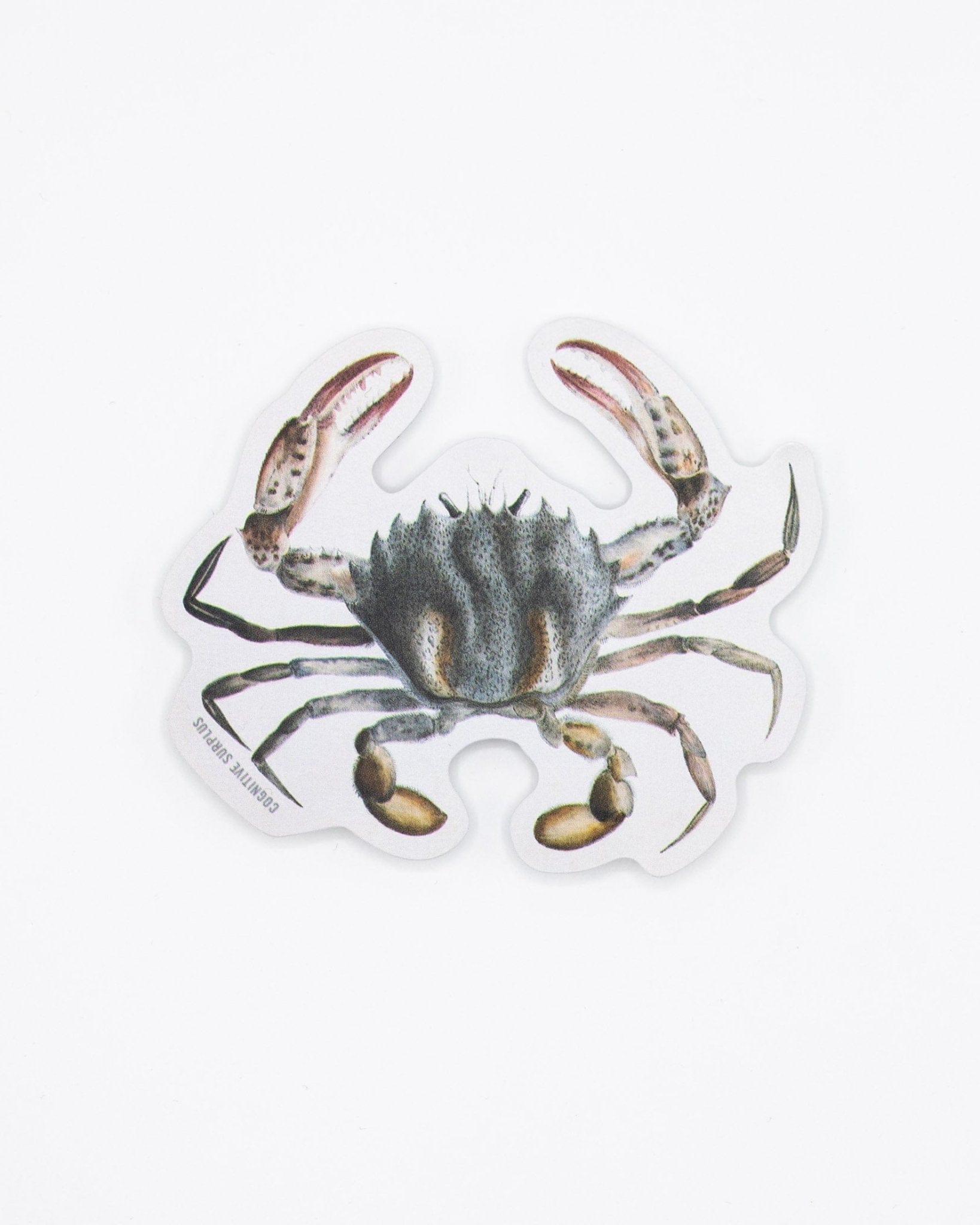 Lady Crab Sticker Cognitive Surplus
