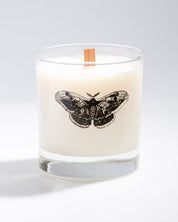 Like a Moth to the Flame Cocktail Candle Cognitive Surplus