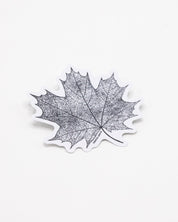 Maple Leaf Sticker Cognitive Surplus