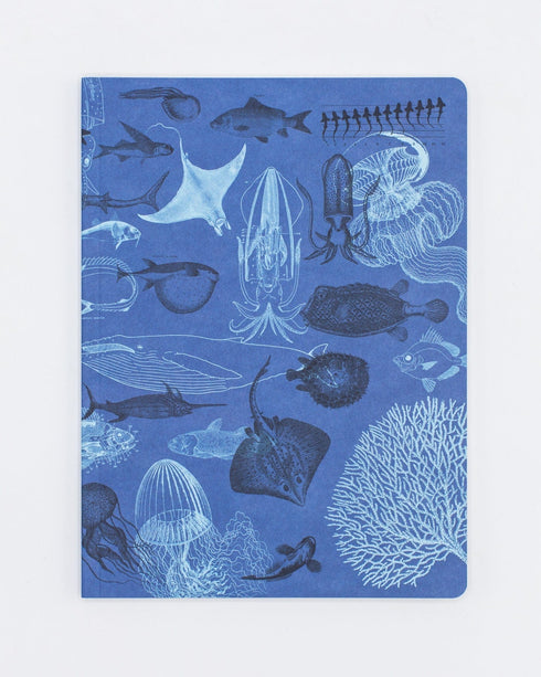 Marine Biology Notebook - Softcover | Recycled Notebook – Cognitive Surplus