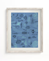 Marine Biology Scientific Illustration Museum Print