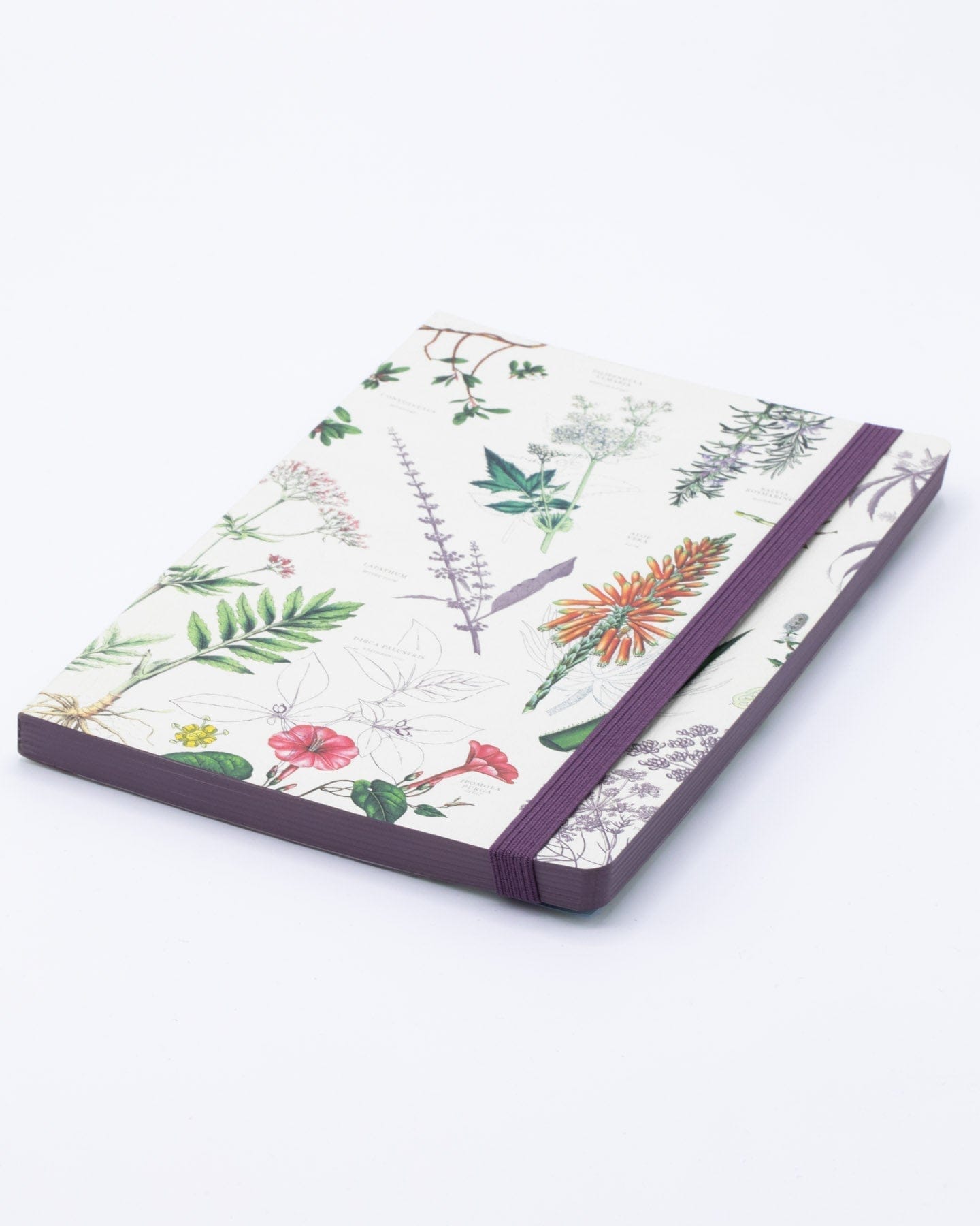 Medicinal Botany A5 Softcover Cognitive Surplus