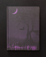 Midnight Swampland Dark Matter Notebook