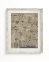 Mushrooms Scientific Illustration Museum Print