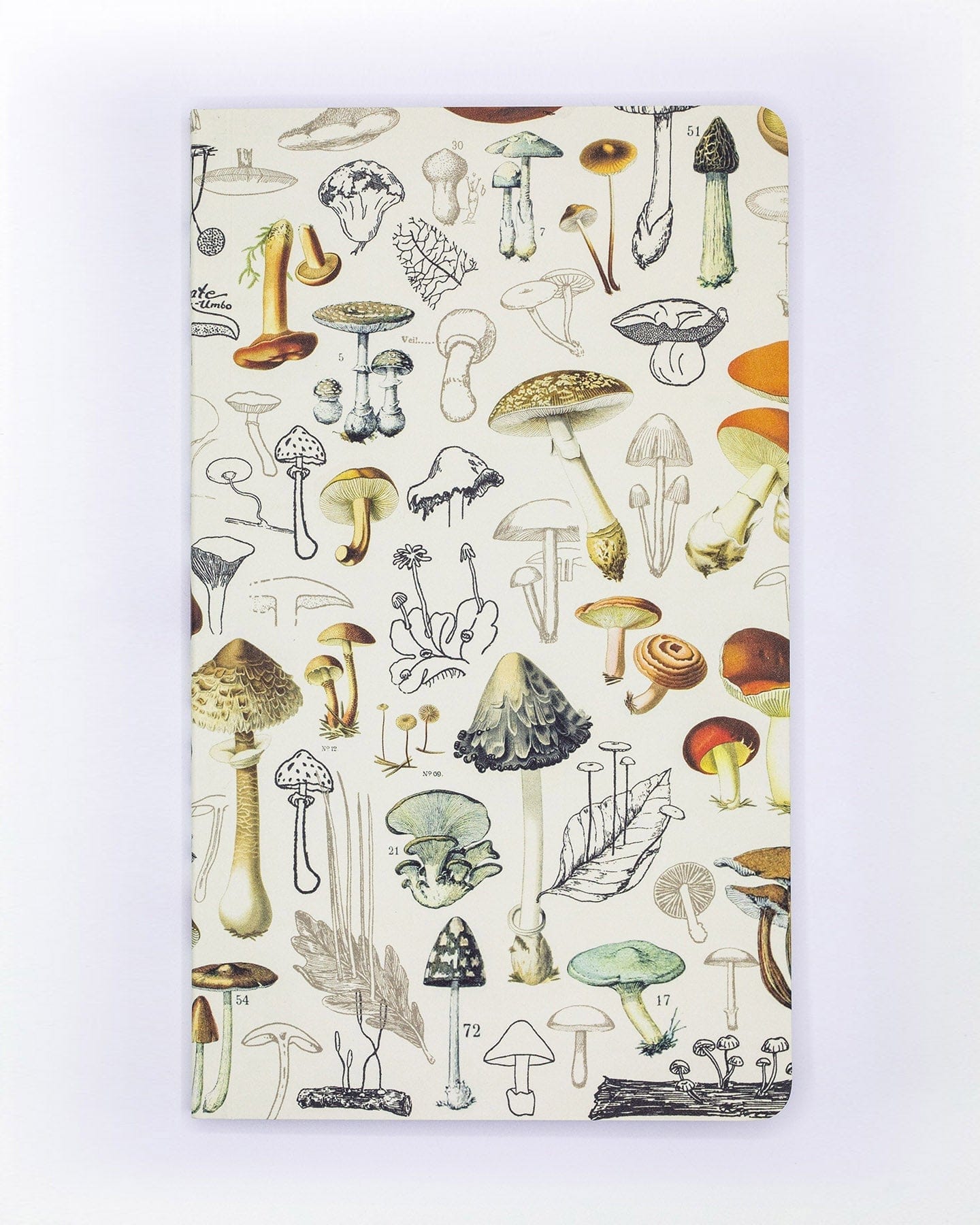 Mushrooms Yearly Planner Cognitive Surplus