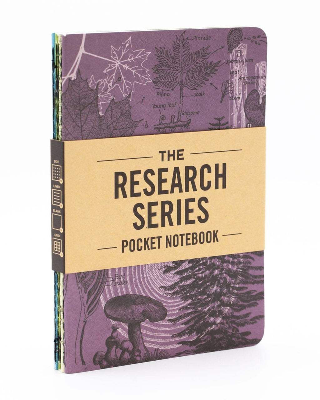 Natural Science Pocket Notebooks Set of 4 | Insect Print – Cognitive ...