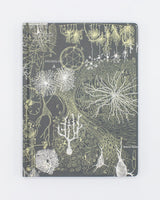 Neurons Hardcover Notebook - Lined/Grid