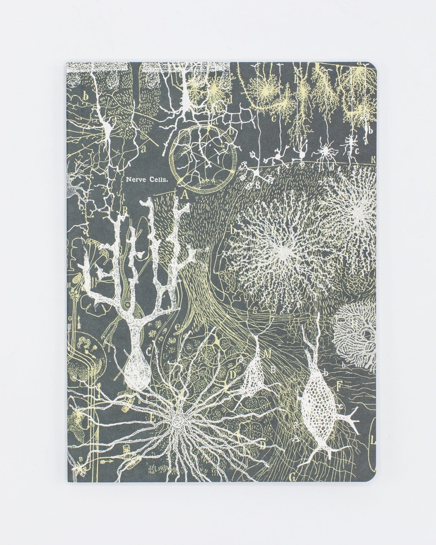 Neuron Softcover Notebook | Brain Notebook – Cognitive Surplus