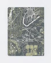 Neurons Softcover - Lined Cognitive Surplus