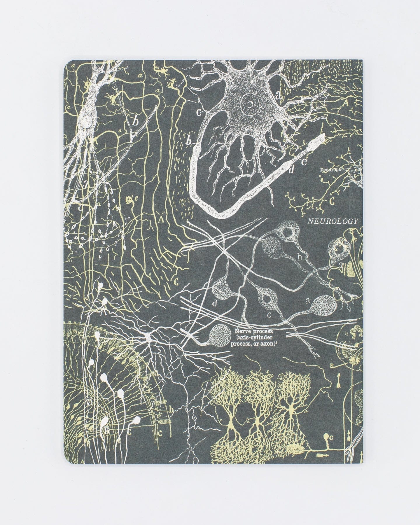 Neuron Softcover Notebook | Brain Notebook – Cognitive Surplus