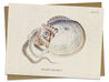Octopus: Argonaut Specimen Greeting Card Cognitive Surplus