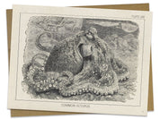 Octopus Specimen Card Cognitive Surplus