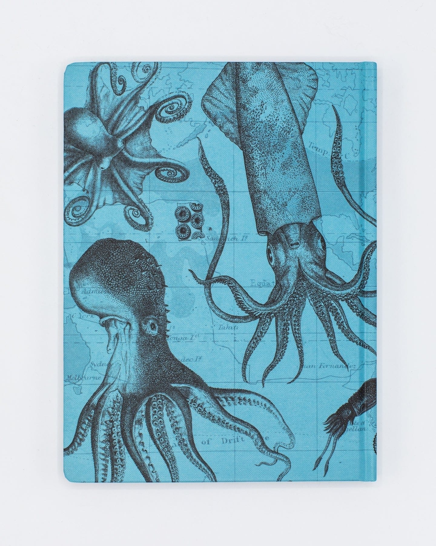 Octopus & Squid Hardcover - Lined/Grid Cognitive Surplus