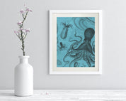 Octopus & Squid Museum Print Cognitive Surplus