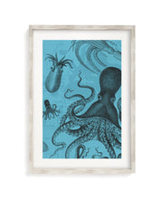 Octopus & Squid Museum Print Cognitive Surplus