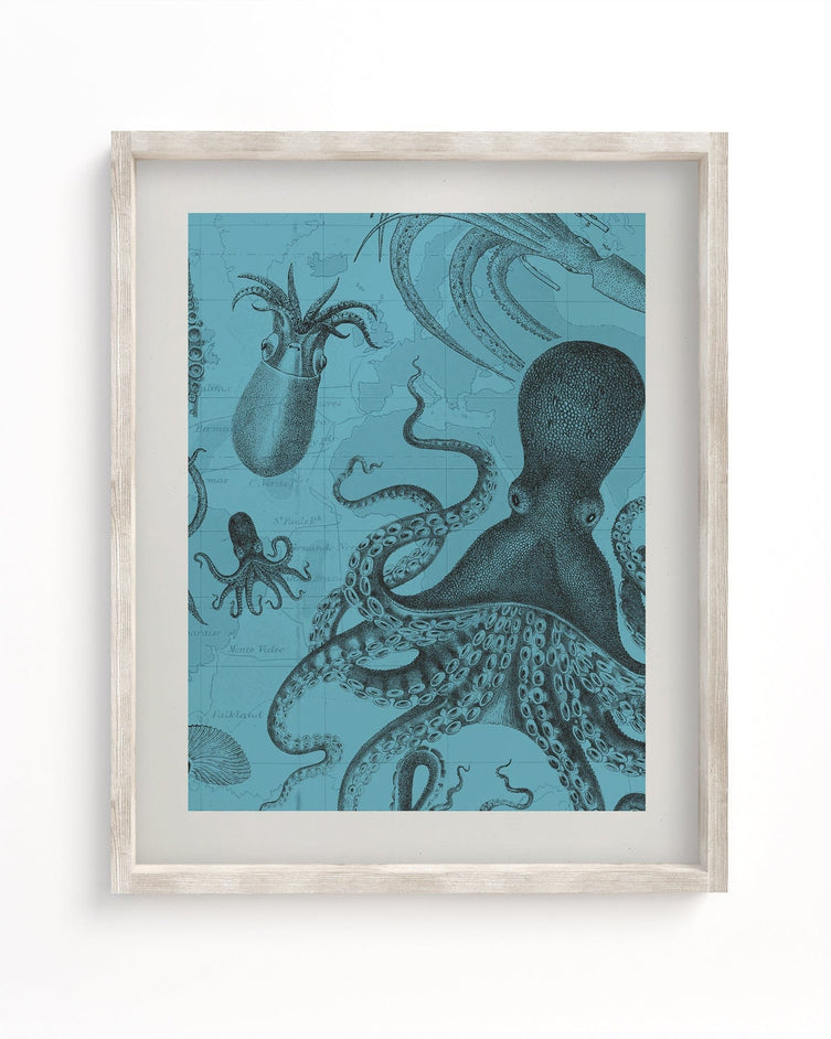 Octopus & Squid Scientific Illustration Museum Print – Cognitive Surplus