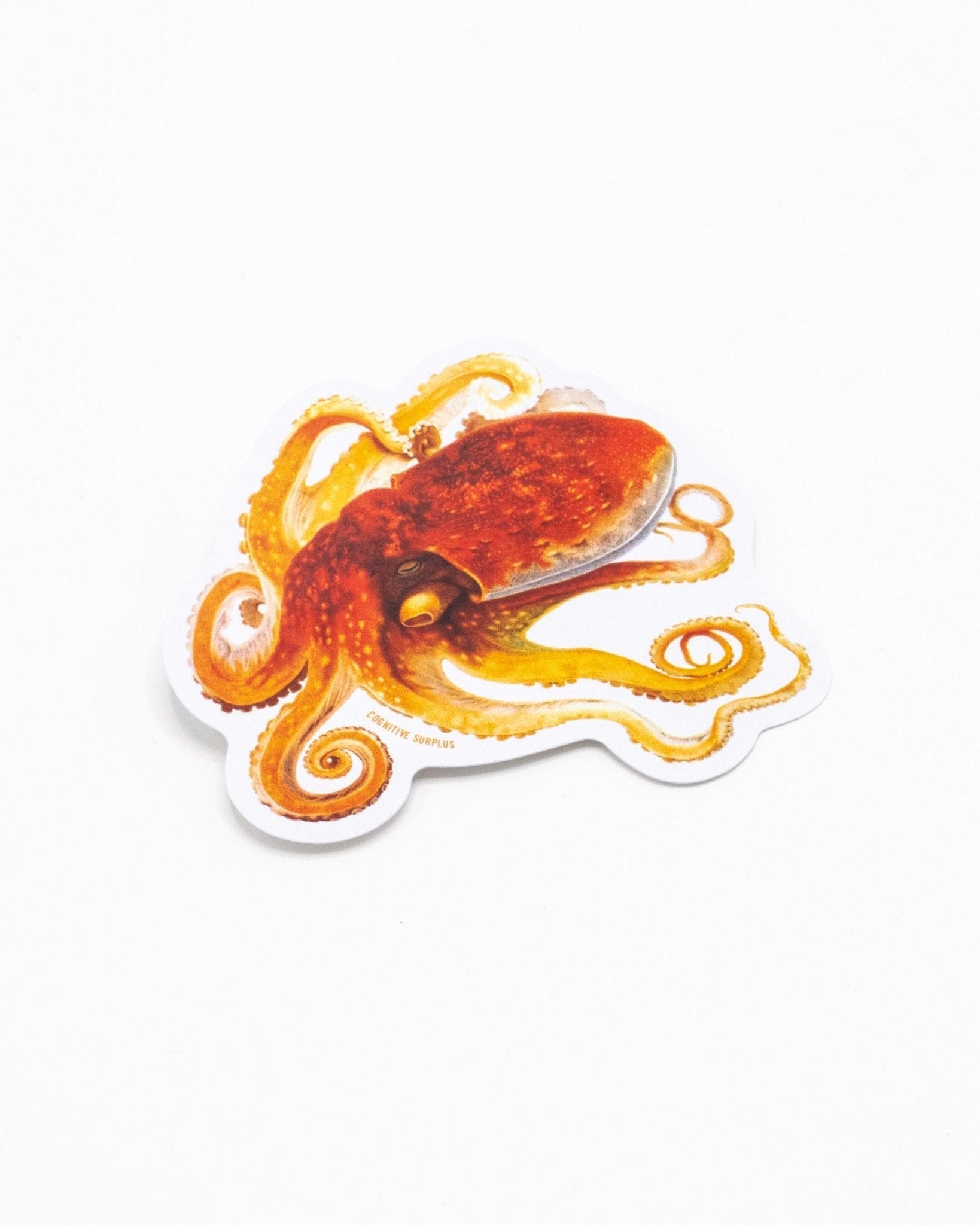 Octopus Sticker Cognitive Surplus