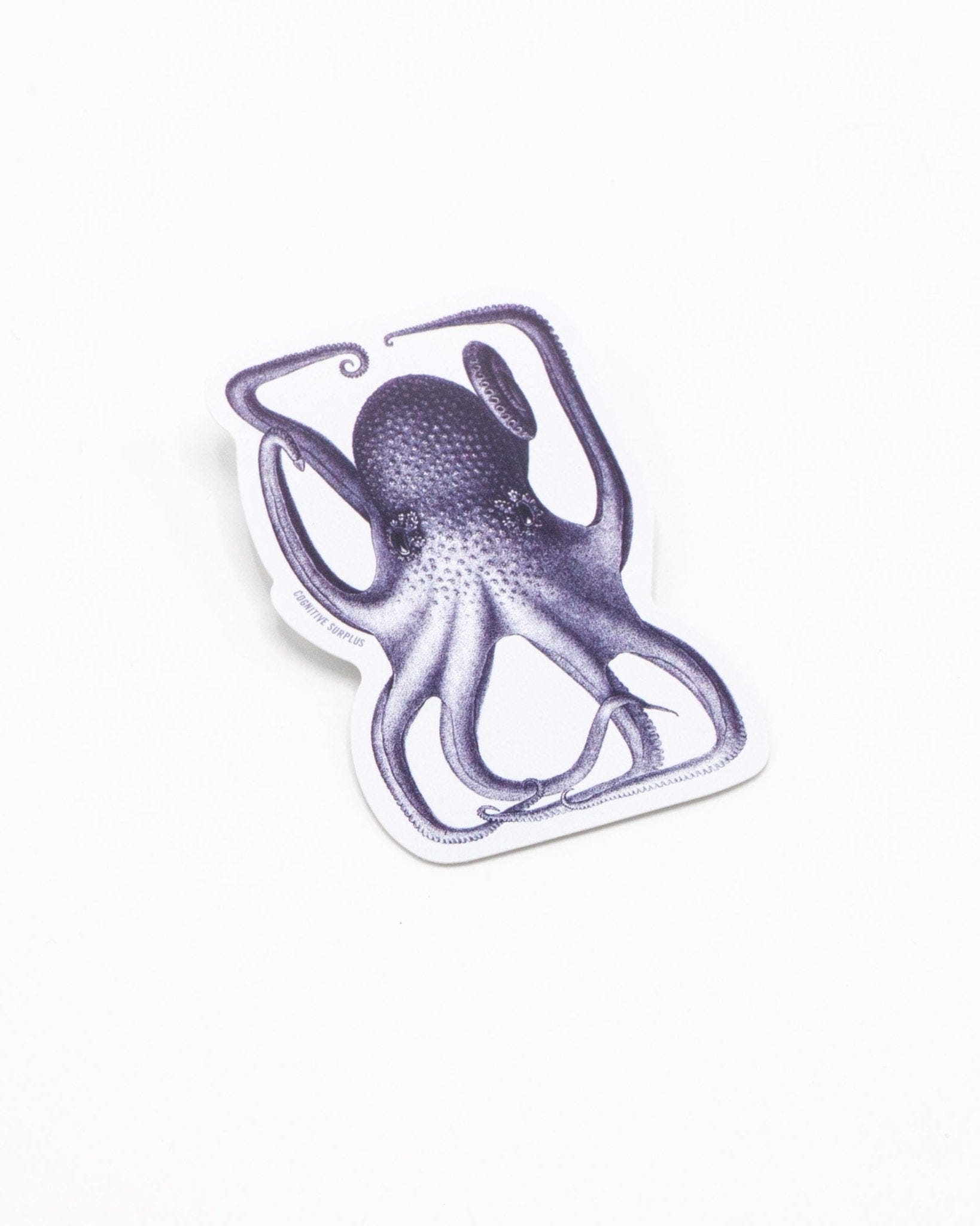 Octopus in a Box Sticker Cognitive Surplus