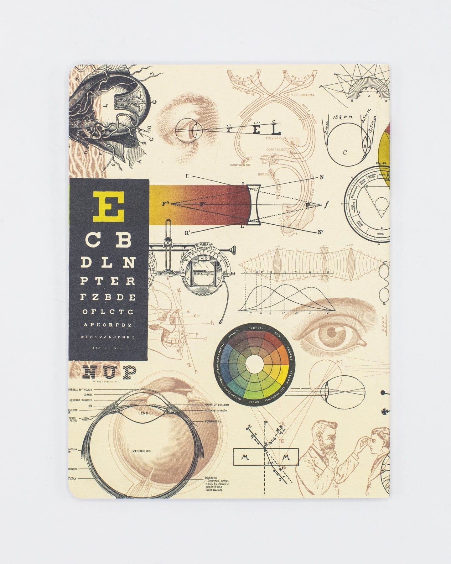 Vision + Sight Notebook - Softcover | Medical Notebook – Cognitive Surplus