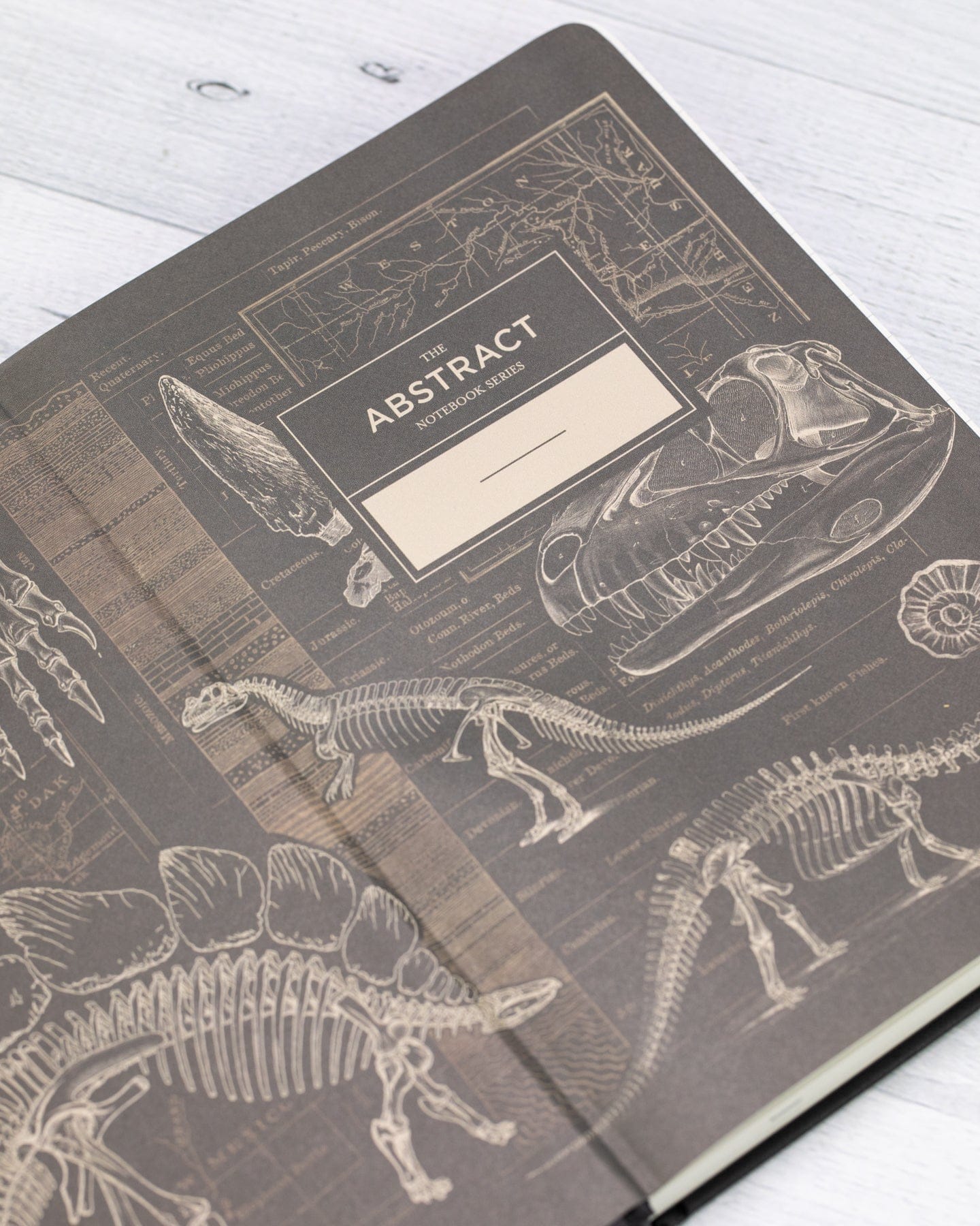 Paleontology A5 Hardcover Cognitive Surplus
