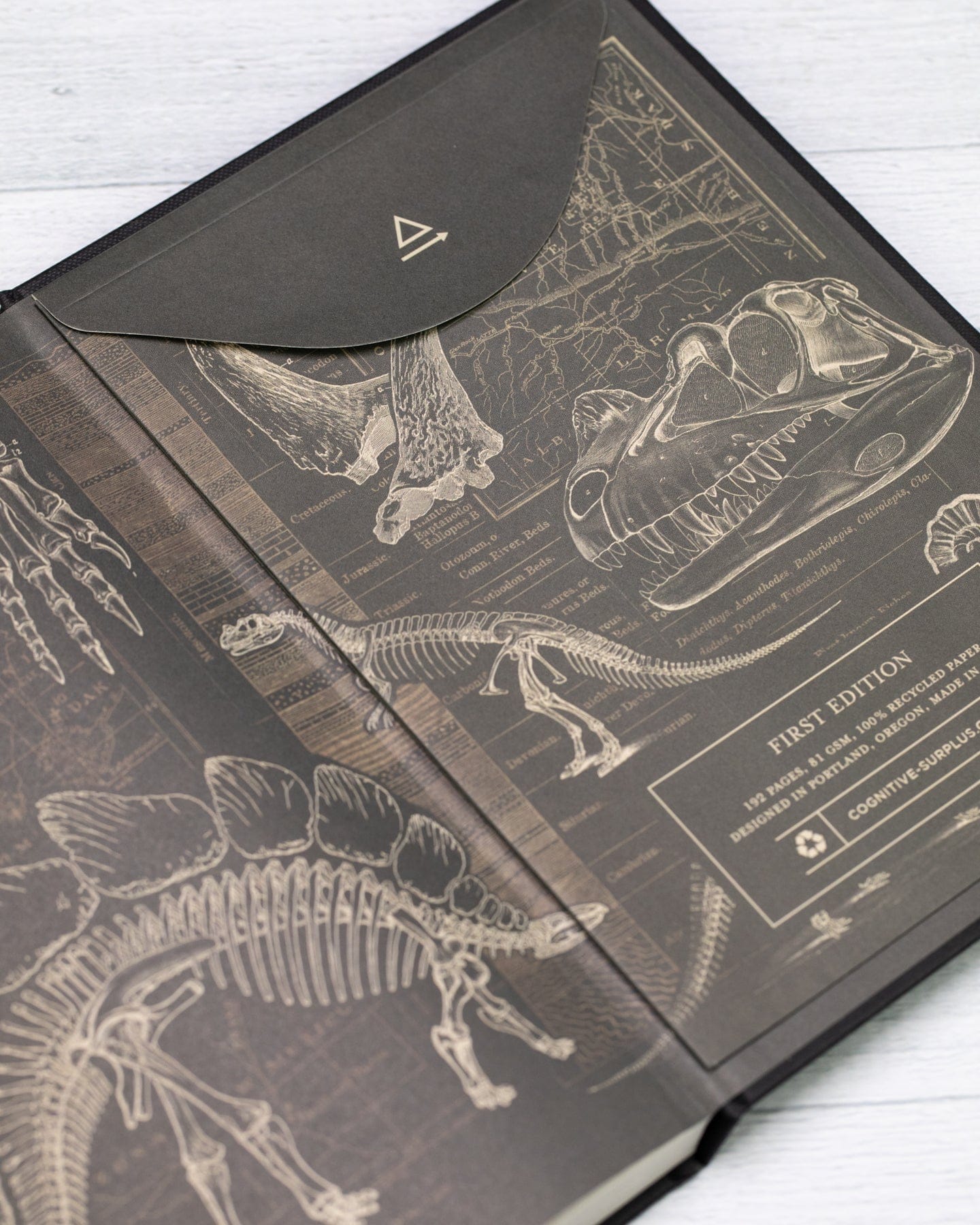 Paleontology A5 Hardcover Cognitive Surplus