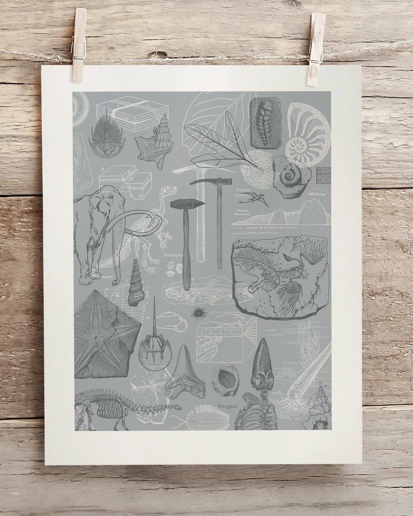 Paleontology Museum Print Cognitive Surplus