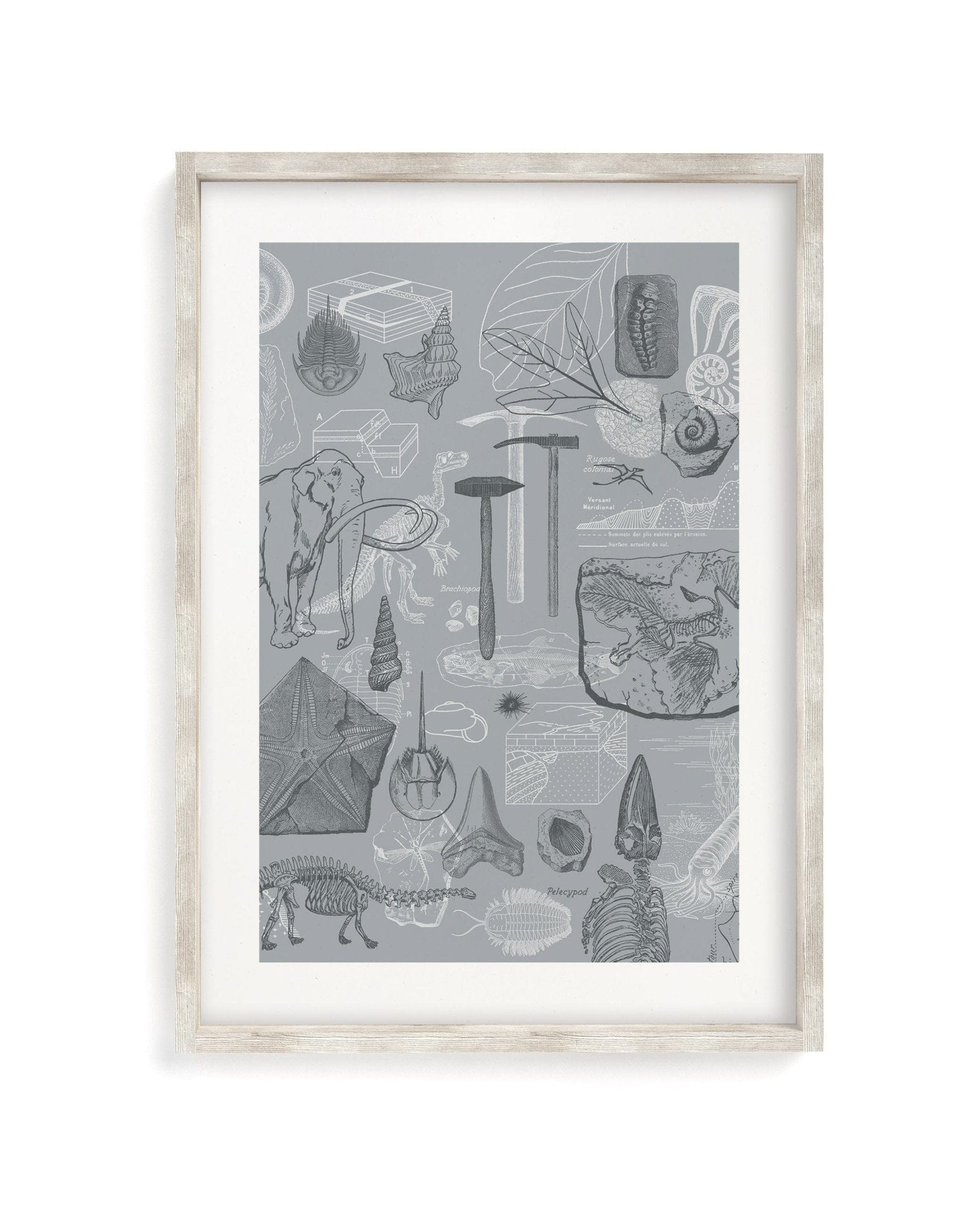 Paleontology Museum Print Cognitive Surplus