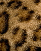 Kingdom Animalia Mystery Pack