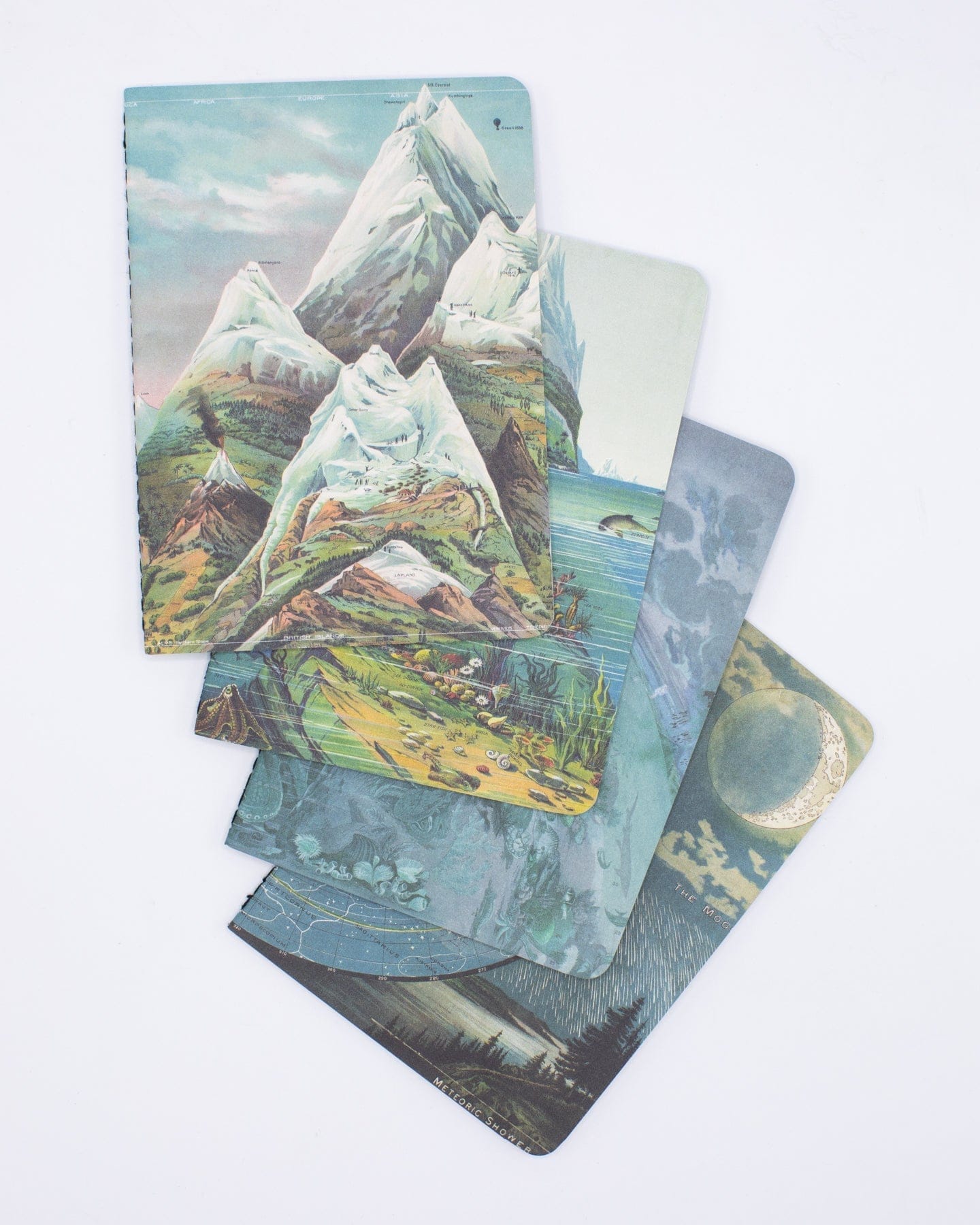 Planet Earth Field Notebooks Set of 4 | Geologist – Cognitive Surplus