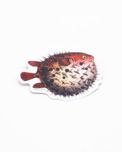 Pufferfish Sticker Cognitive Surplus