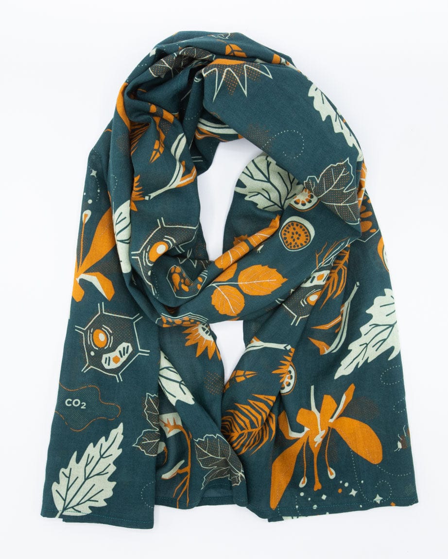 Modern Physics Scarf – Cognitive Surplus