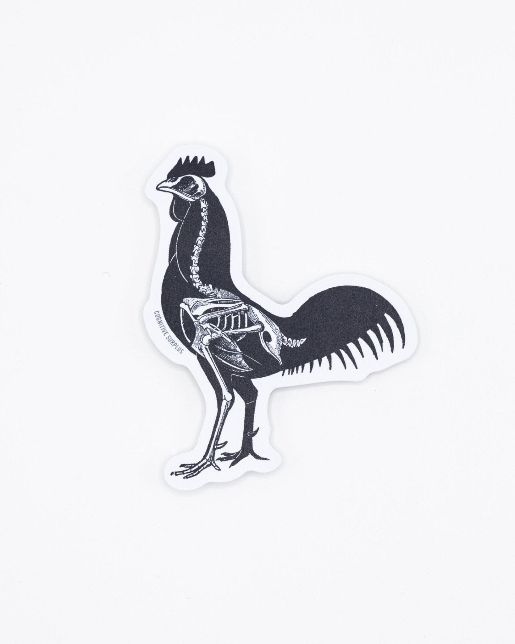 Rooster X-Ray Sticker Cognitive Surplus