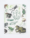 Cognitive Surplus' Frogs & Toads Softcover Notebook - Lined on a white background.