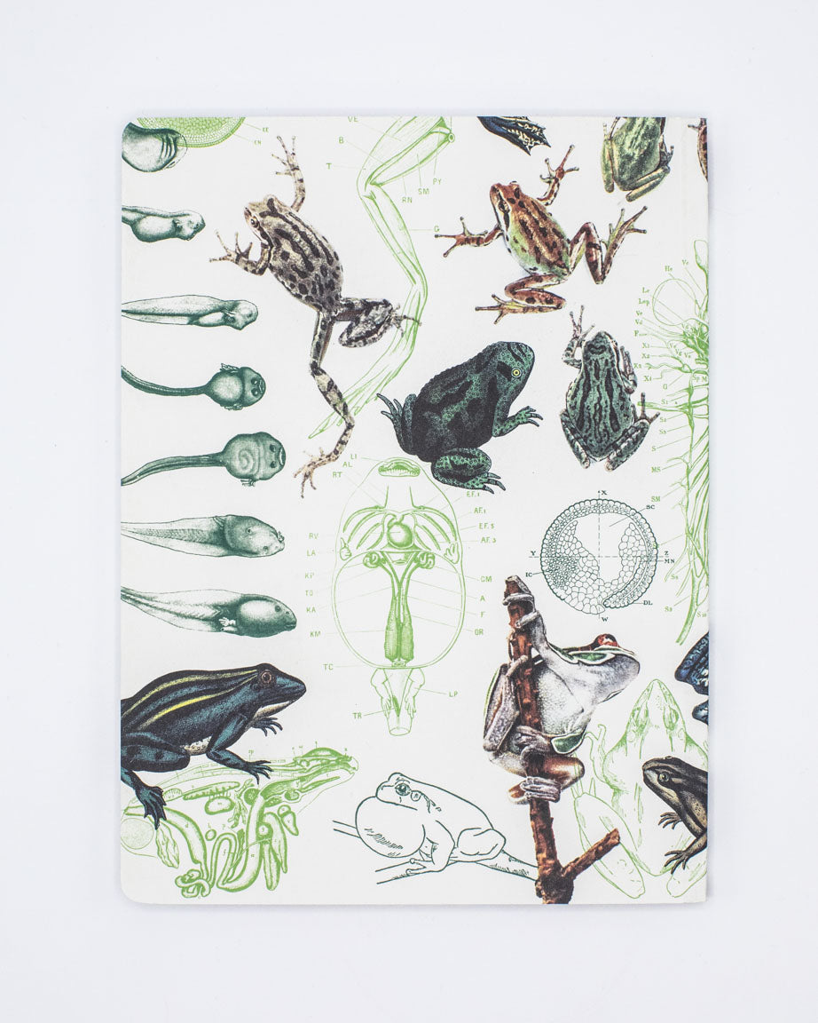 A notebook with frogs and other animals on it.