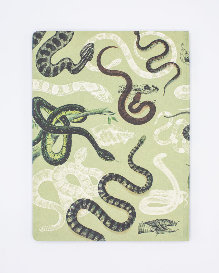 A Cognitive Surplus Snakes Softcover Notebook - Dot Grid with various snakes on it.