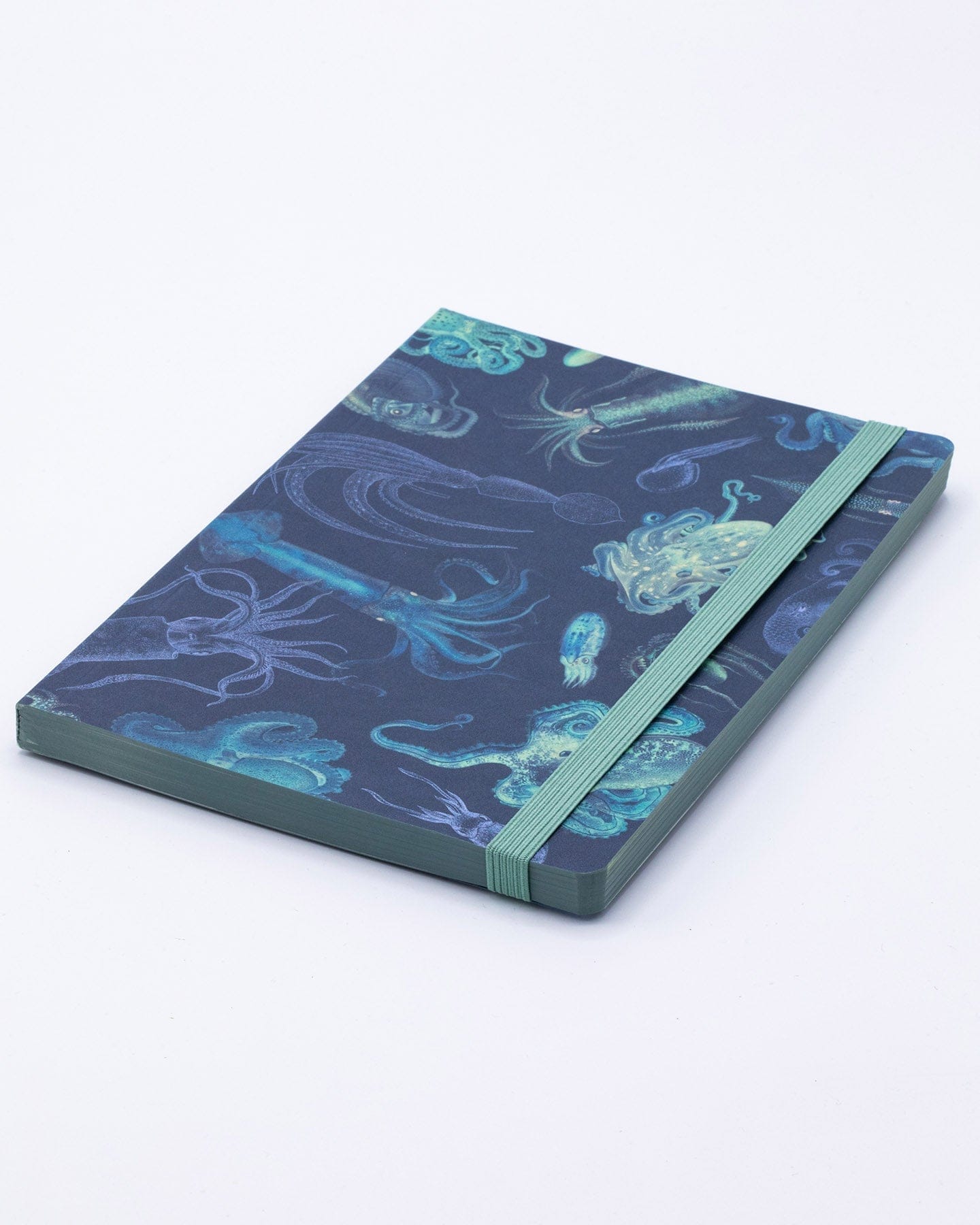 Sea Monsters: Octopus & Squid A5 Softcover Cognitive Surplus