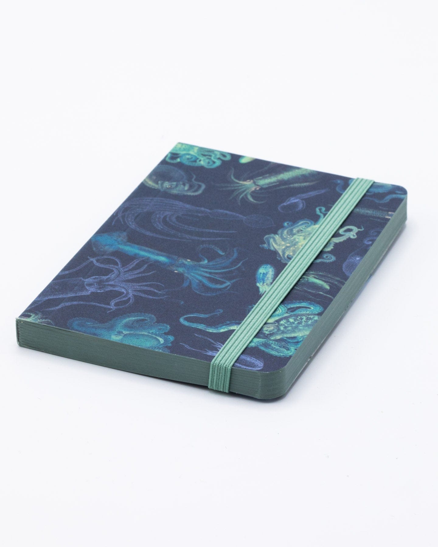 Sea Monsters: Octopus & Squid Observation Softcover Cognitive Surplus
