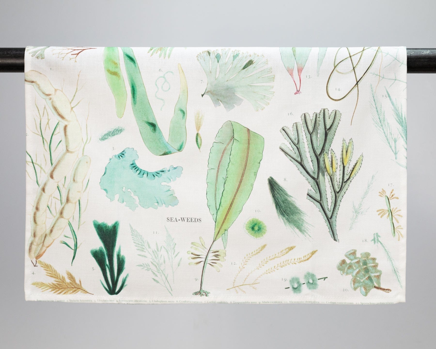 Seaweed Printed Tea Towel Cognitive Surplus