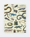 Serpents: Reptiles & Amphibians Hardcover - Lined/Grid Cognitive Surplus