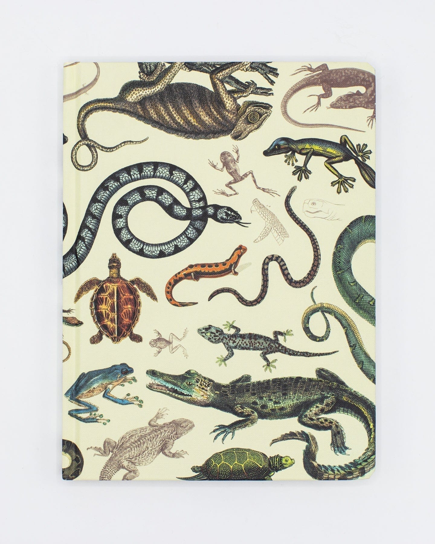 Serpents: Reptiles & Amphibians Hardcover - Lined/Grid Cognitive Surplus