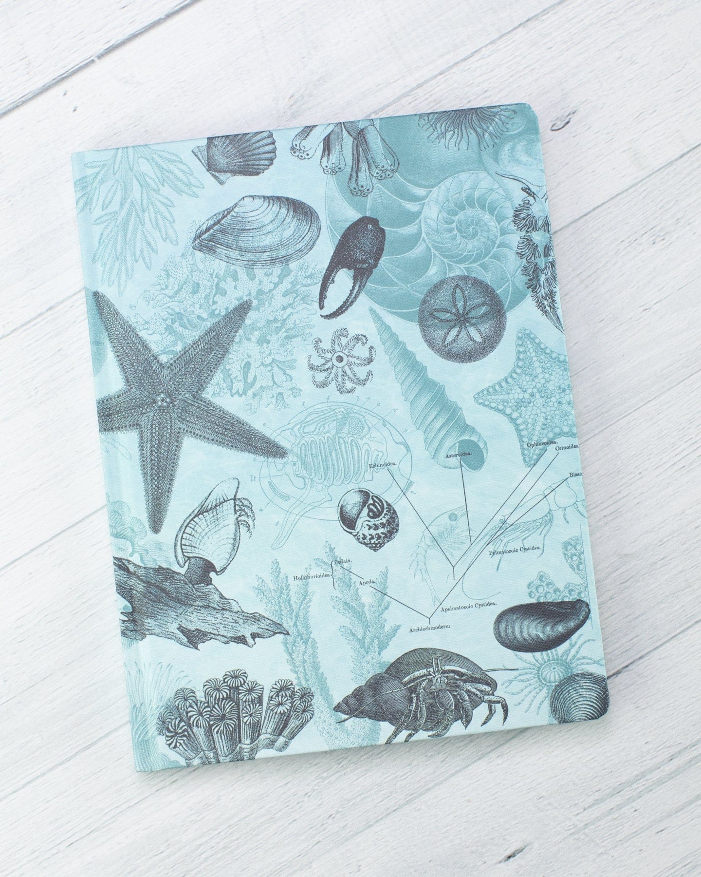 Shallow Seas Hardcover - Lined/Grid Cognitive Surplus